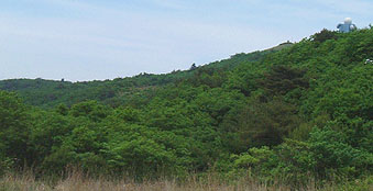 700m�L�ꂩ��