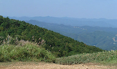 �O���R����