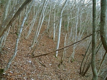 音川の右俣源頭