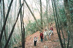 いご谷源頭付近