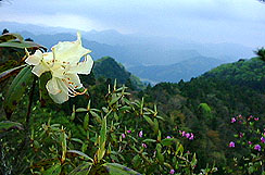 �������F