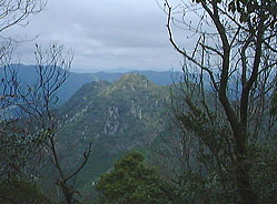 三尾山