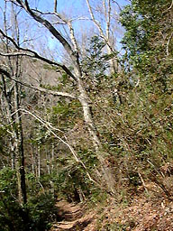 �W����400m�a