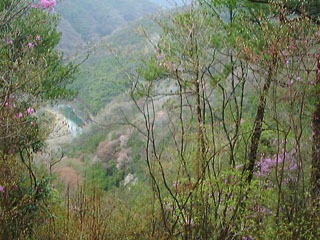 ���c���k�J