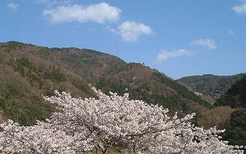 ���c��������R