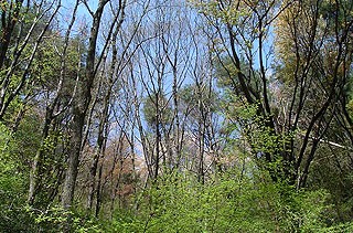 �W����400m�̓�