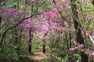 �~�c�o�c�c�W