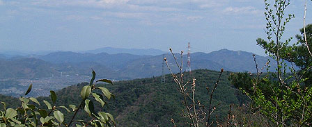 �W�]�̓S��