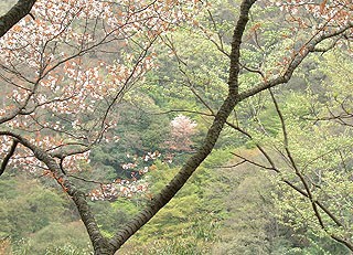 �郖�u�L��