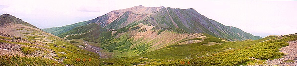 �p�q�x����]�ތ�����