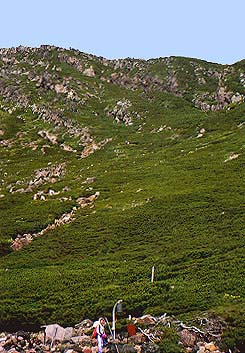 �O�m�r�����΂̉͌��ւ̓o��