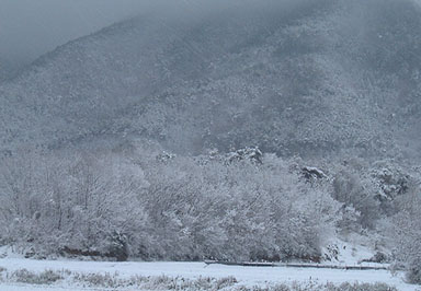 �����R�k����