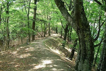 尾根道