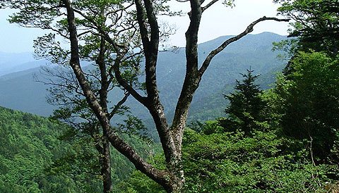 山並み
