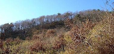 となり尾根