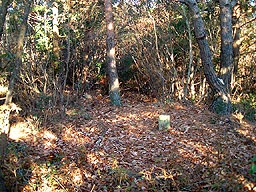 三角点