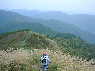 山頂から市原峠への下り