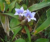 �����h�E