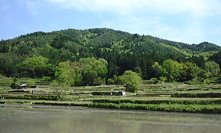 里山