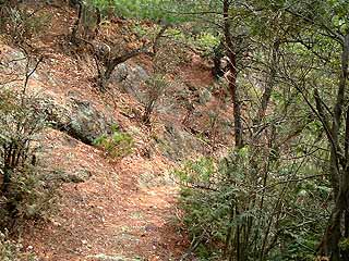 �R�������̓�