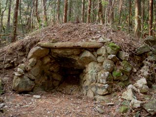 ���h�ȒY�Ă��q