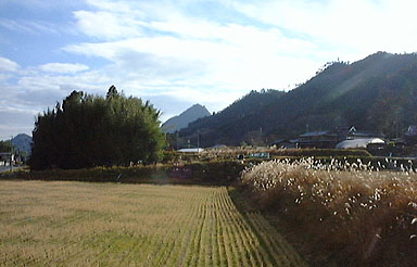 ���~�̂����̗�