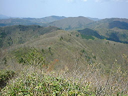 ���哻�ւ̔���