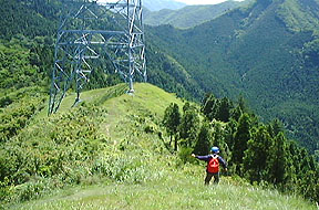 �J�������ӂ��S���̉�