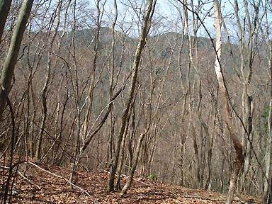 �V�h�����