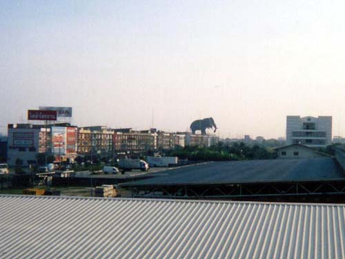 ���܂悦���