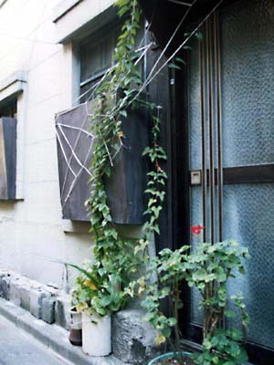 �Ă̖��c�̂���Ƃ�