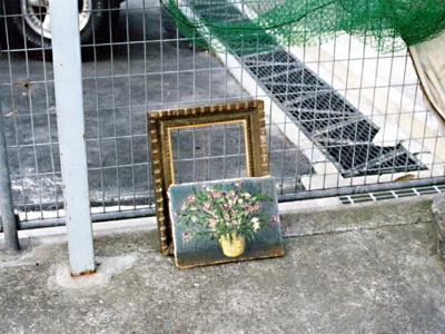 �S�~�u����