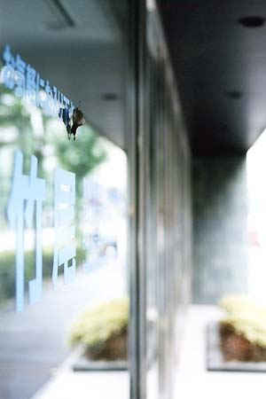 �E�B���h�E�ɂ���̂́E�E�E