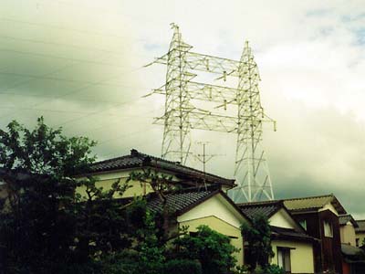 2本足でふんばって、送電線を支える