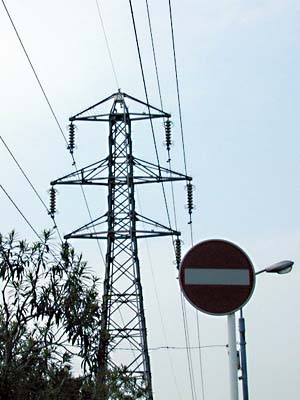 ジャミラ基本形