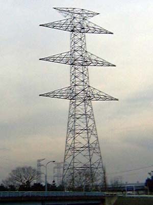 �������S�i