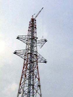 �S�{�ڂ̘r��