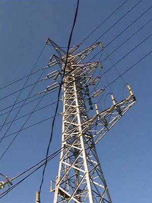 �ԑ����|�Q�V