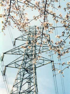 ���������|�S�O�P�T