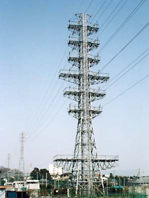 �䑷�q���|�P�W