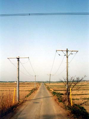 新京葉線84−1の電柱群