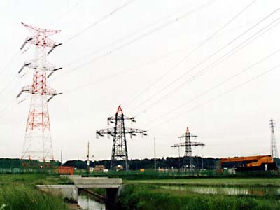 この大きさの差