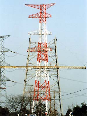 脱皮するかかし