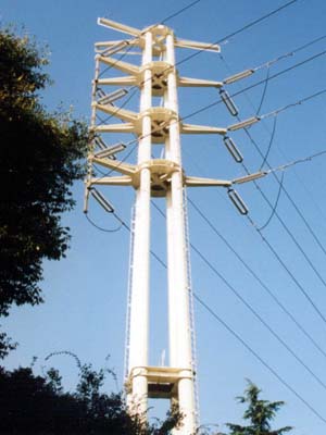 ����ԂS�̐���o�T�~