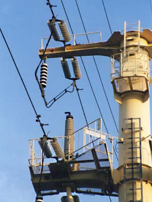 マヨネーズの腕金