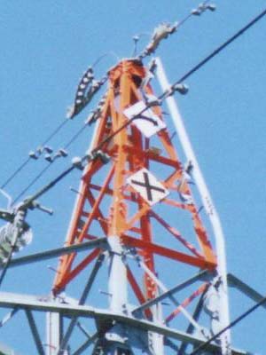 �ςȃv���[�g