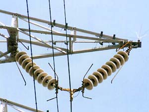 �E���̊V�q