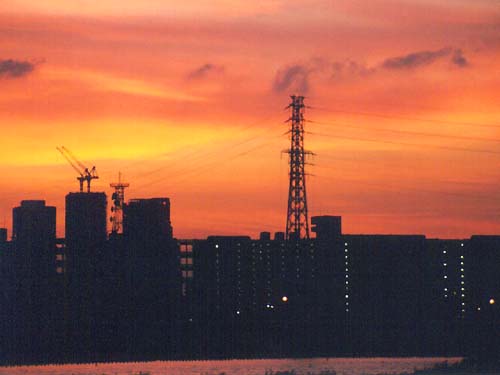 夕暮れに浮かぶ シルエット達