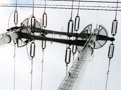 しかし、左右の違いが