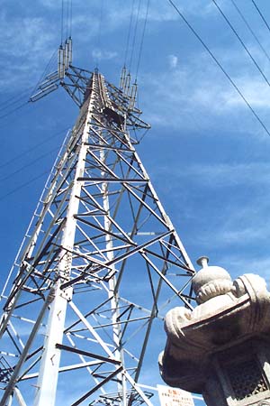 ��Ɍ������ė����m���m